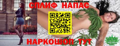 PSILOCYBIN Балаково