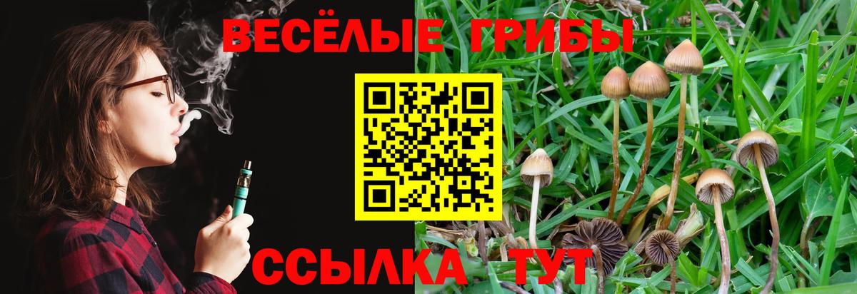 Донской  наркошоп  Вход с VPN  Галлюциногенные грибы MAGIC MUSHROOMS 