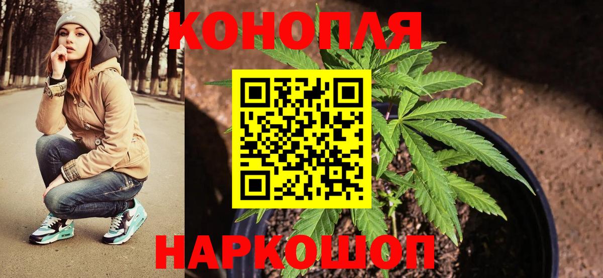 Канабис White Widow  Конопля SATIVA & INDICA  Шишки марихуана THC 21%  Вход с VPN  Донской  МАРИХУАНА план 